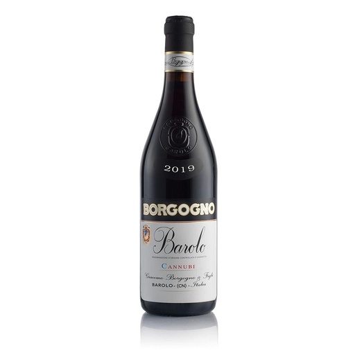 [1667] VINO BORGOGNO BAROLO CANUBBI 2019 750 ML